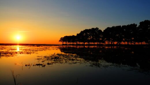 A Beautiful Good Morning Finding Peace in Nature’s Sunrise
