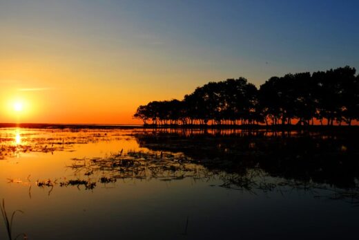 A Beautiful Good Morning Finding Peace in Nature’s Sunrise